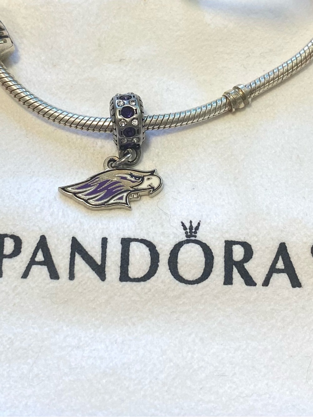 University of Wisconsin Whitewater Charm - Fits Pandora Bracelets!